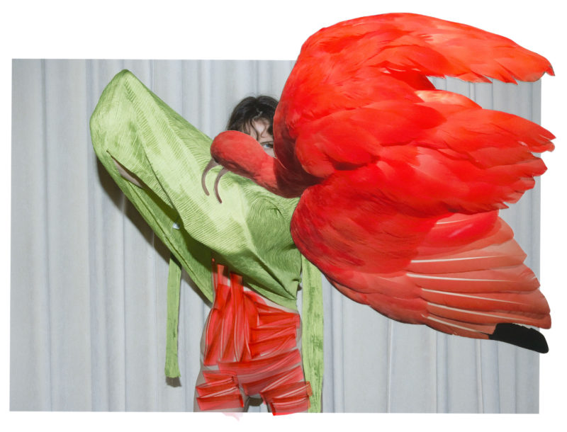 <span class="u-italic400">Eudocimus Ruber</span>, from the series <span class="u-italic400">Of Mud and Lotus</span>, 2017
© Viviane Sassen and Stevenson
(Johannesburg / Cape Town / Amsterdam)