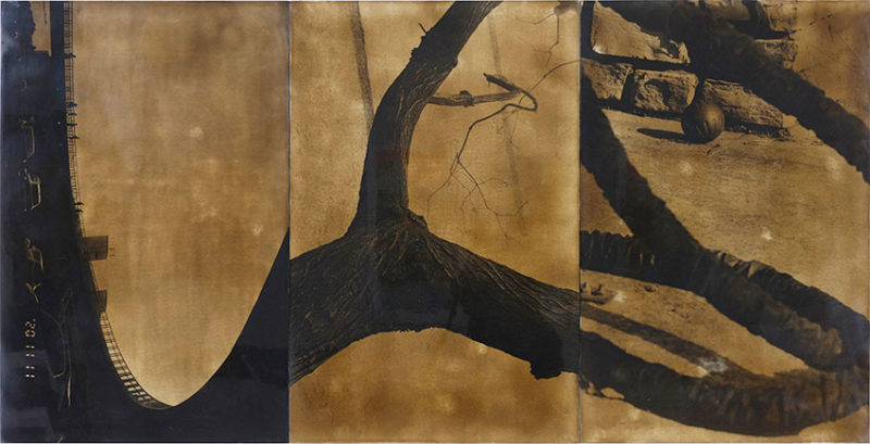 Birdhead, <span class="u-italic400">Bigger</span> Photo © BIRDHEAD Studio
